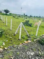 International stadium, Ke paas