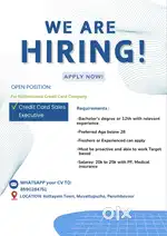 Credit Card sales Executive