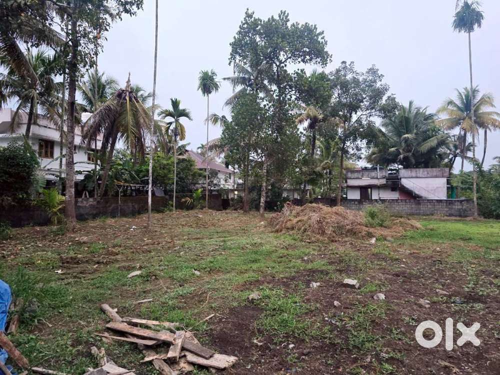 20 Cent Purayidam Land for Sale – Neericode, Near Varapuzha