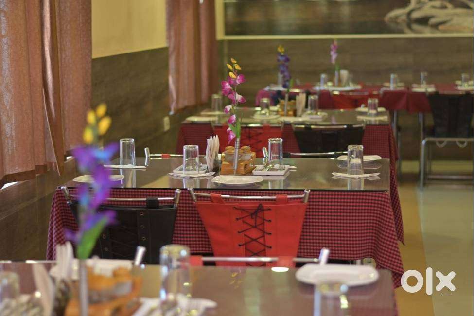 Cook Vacancy at Amrapalli Resorts