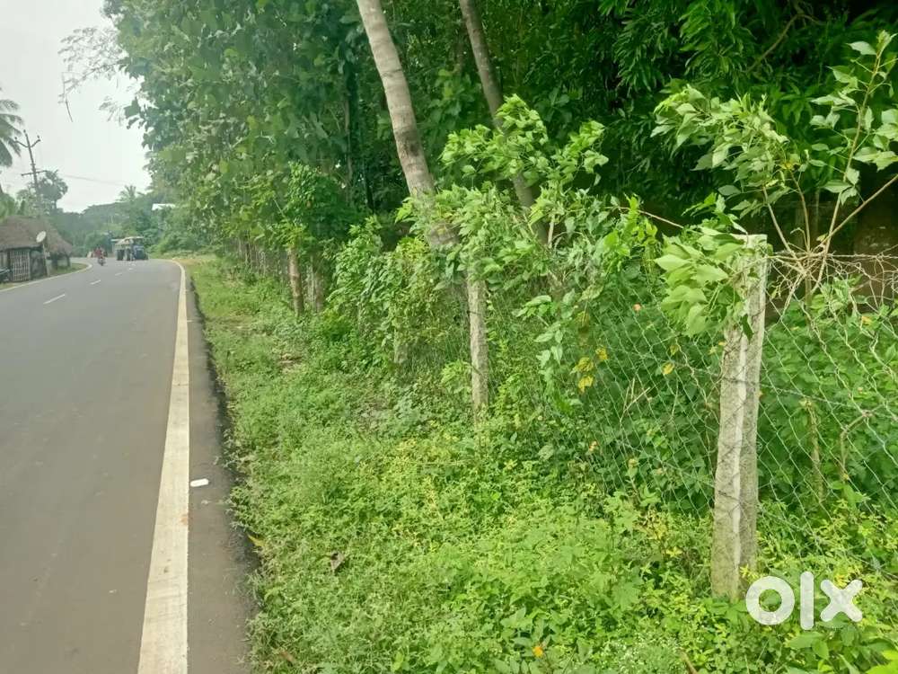 Karuppur near min road facing land for sale