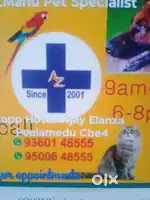 Clinic and kennel attenders