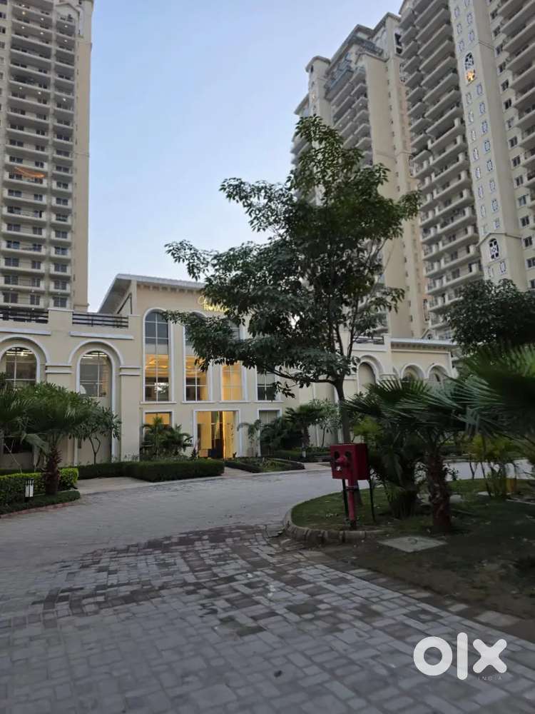 3 BHK semi furnished society flat sector 104