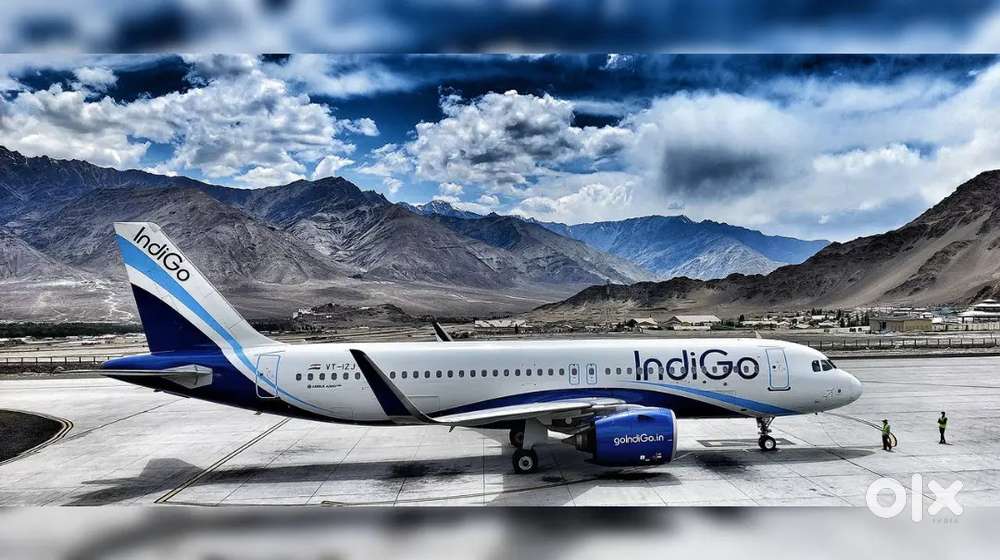 350+ seats Hiring Male Female Candidates in INDIGO AIRLINES