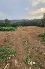 Plot for sale