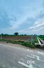 Agriculture land