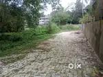 15 cent kakkanad recca valley near mavelipuram