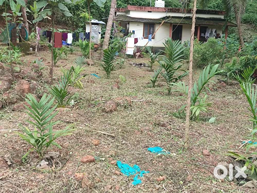 1.35 acre Land and 750  sqrft house for sale in kalliot