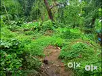 Land for sale in Candolim