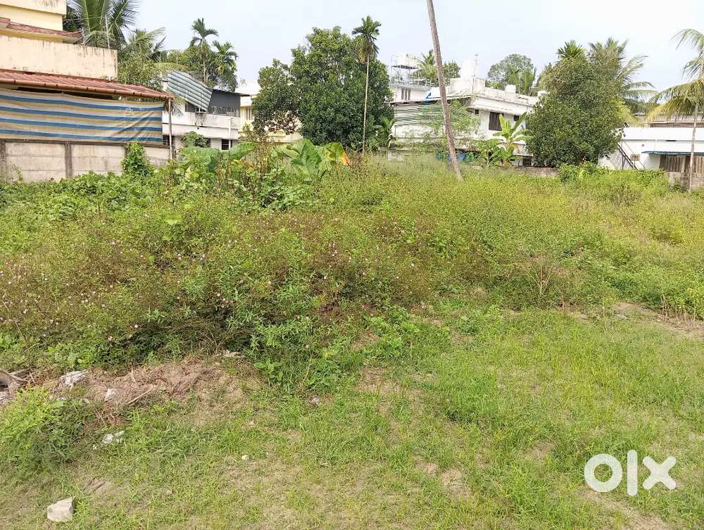 3cent 8cent Plot for sale KONNAMMAVU 100 meter bus stop