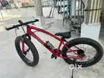 Senidas Fat tyre Cycle