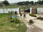 100 gaj plot 8.5lakh gated society all facility available