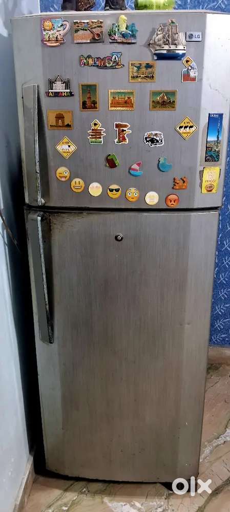 LG Double Door Refrigerator (Approx. 200 Litres) - Powerful Cooling!