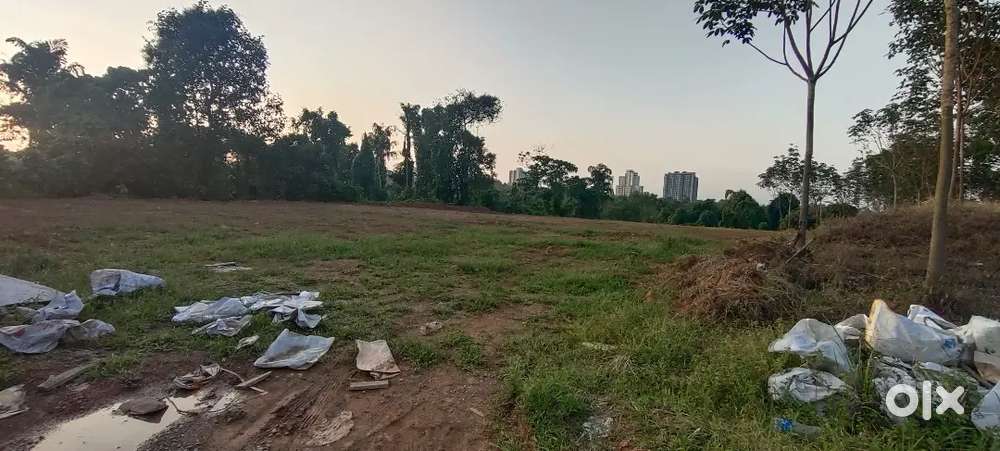 Kakkanad near manakakadav plots for sale 5.6 7 cent
