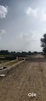 Best plot for investment