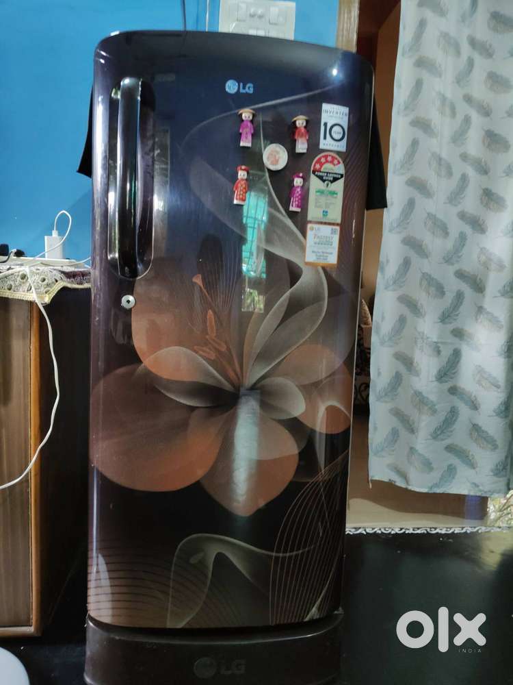 LG190Lts Fridge