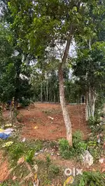 Original Land