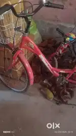 Ladies cycle