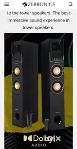 Zebronics zeb octive tower speaker box pack
