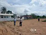 Offer alert low price limited period offer plot's at Shadnagar Rajapur