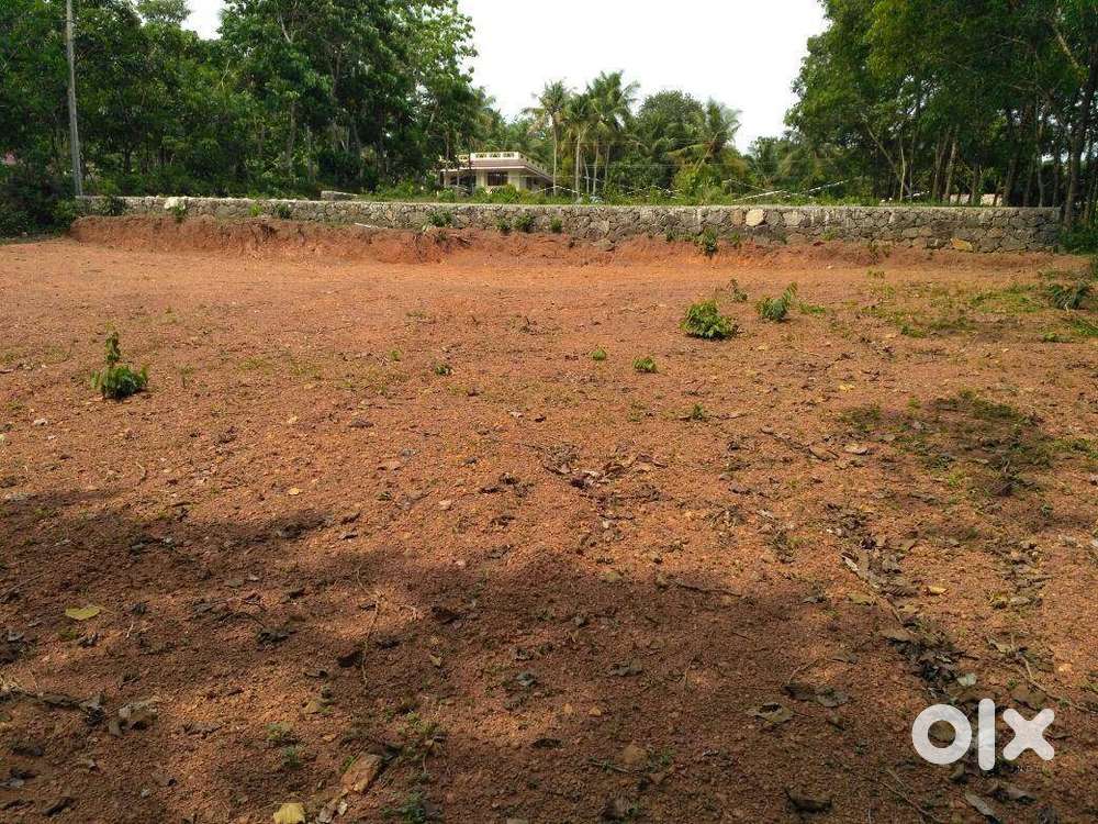 Residential Land for Sale near Korenchira St.George Jacobite Church