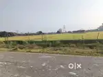 10 beegha zameen hai bilkul road ka kenara khati.ploting.factory area