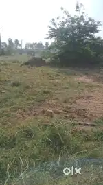 Plot for sale in. Guduvancherry with clear titles