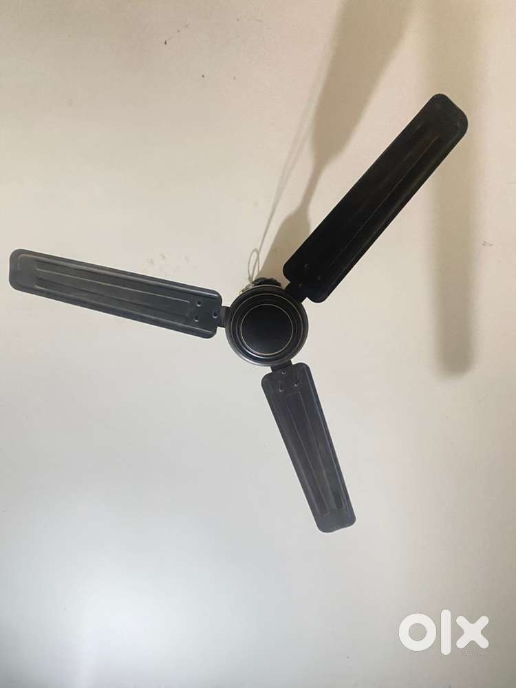 Orient Electric Ceiling Fan