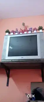 Telivision