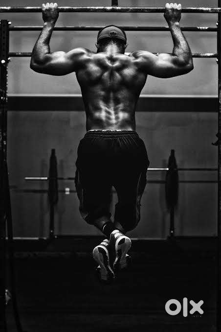 Need Gym Trainer