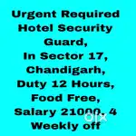 5 Star Hotel Security Guard Job Chandigarh 14