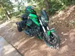 Dominor for sale