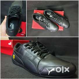 PUMA Scuderia Ferrari Shoes (42EUR)