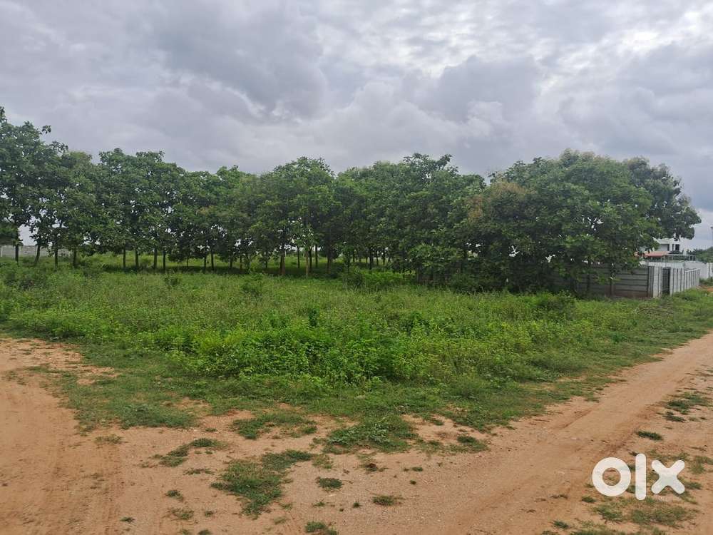 500sqyds plot in shamshabad for sale