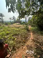 Plot sail perumanna