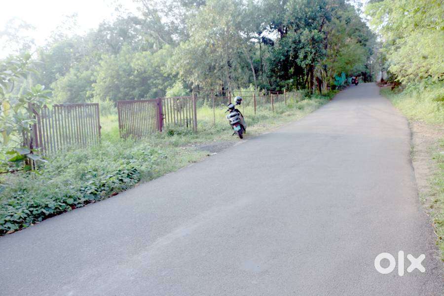 House plot 28 cents near Samkranthi-Mammoodu 3.60 lakh/cent