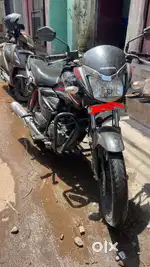 Honda shine 2019