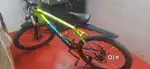 New model cycle
