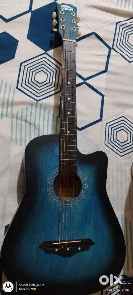 Intern guiter