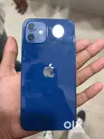 Iphone 12  (All Original)