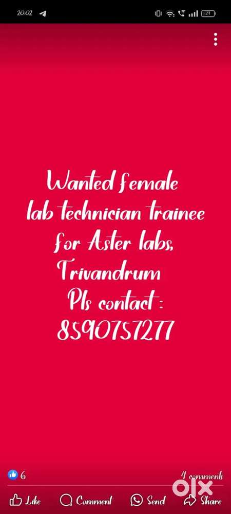 Wanted  lab technician phlebtomist