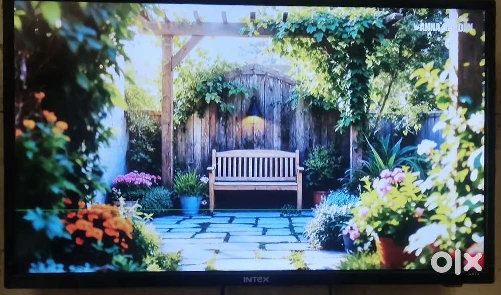 Intex 32led smart TV working condition with a minor line on display
