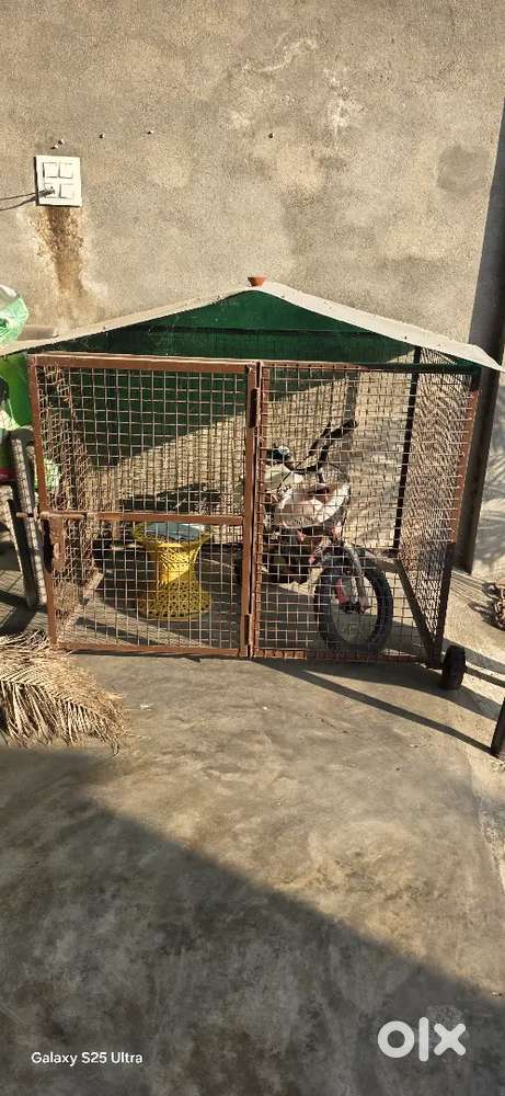 Dog cage new