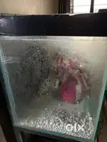 Large size aquarium