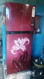 Fridgessss