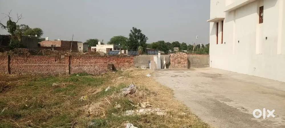 193 yard Plot For Urgent Sale near New Friends Enclave