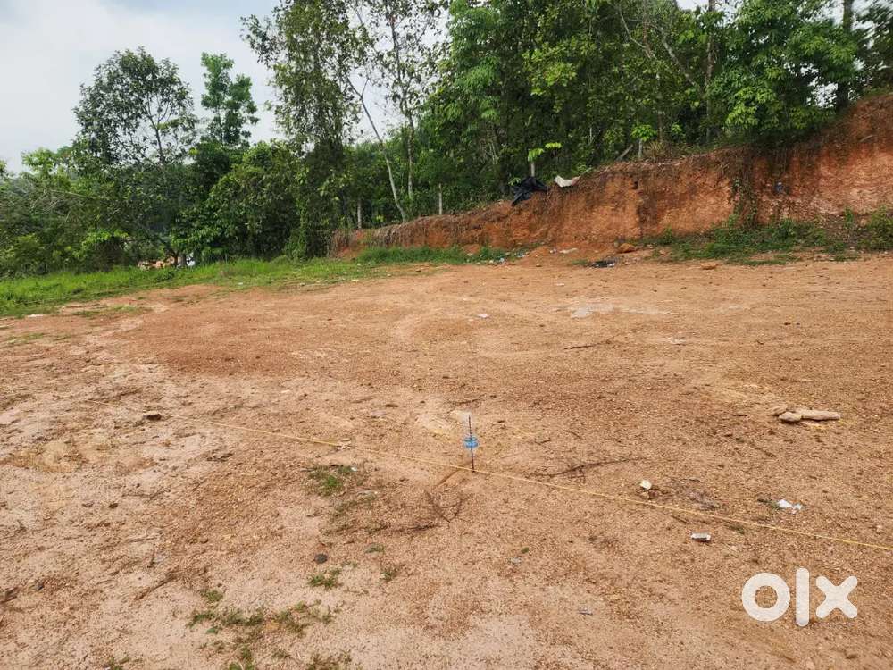 6 cent House plot for sale near puthupally