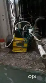 Pani motar