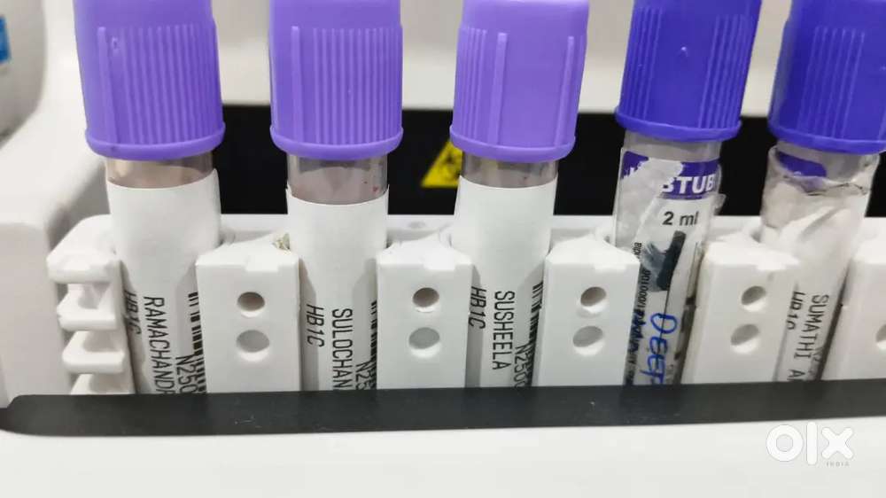 Collection Executive