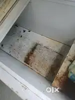 Fridge double door
